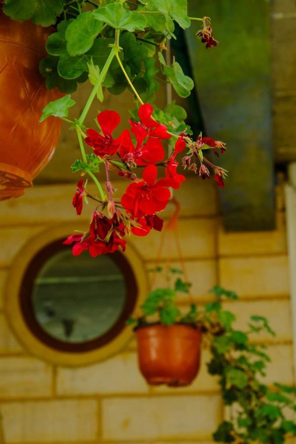 Damask Rose, Lebanese Guest House Jounieh Extérieur photo